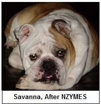 Savanna, after nzymes