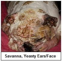 Savanna's yeast face