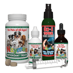 Nzymes Papilloma Support Kit for Pets