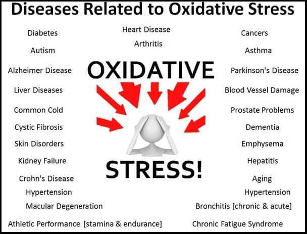 Oxidative_stress-w_border