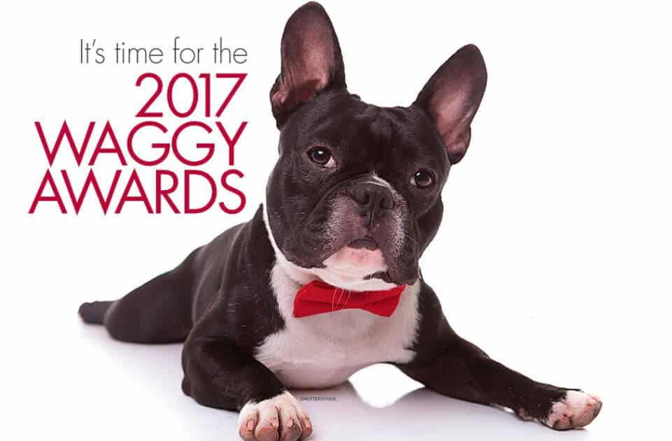 Nzymes Goes to the Waggy Awards!