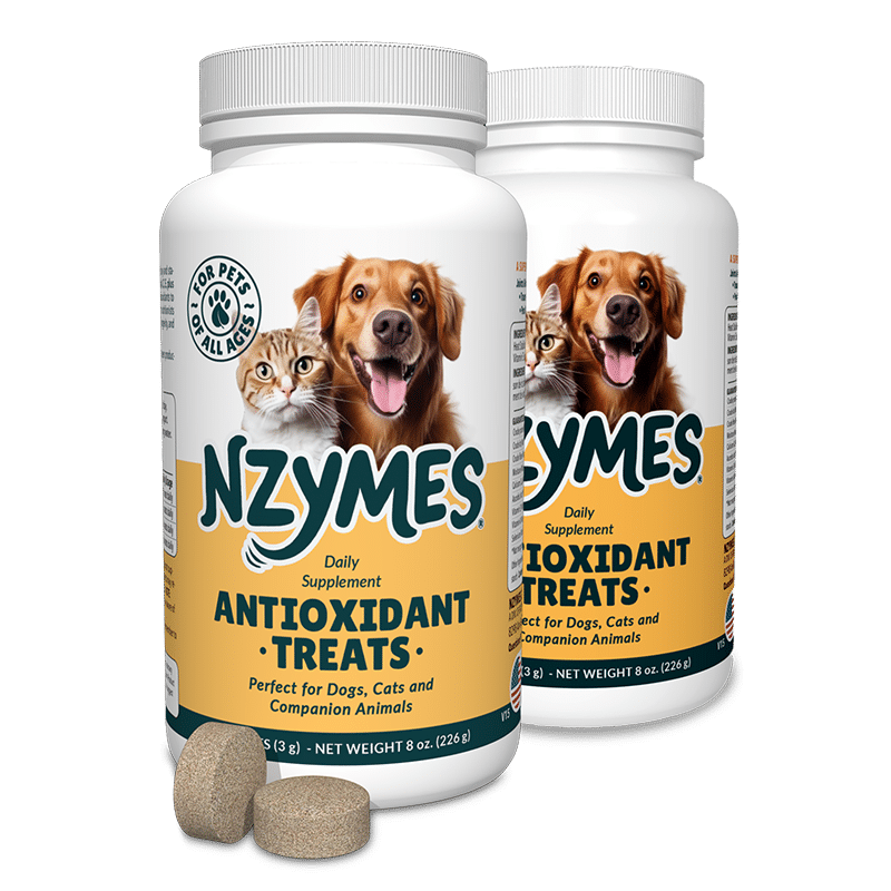 Nzymes Treats 2-Pak
