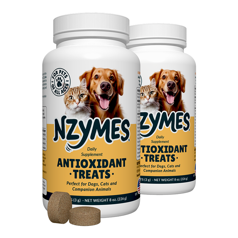 Nzymes Treats 2-pak kit