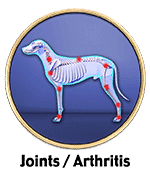 dog joint health or arthritis recovery stories