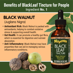 Nzymes BlackLeaf Tincture Benefits: Black Walnut