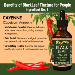 Nzymes BlackLeaf Tincture Benefits: Cayenne