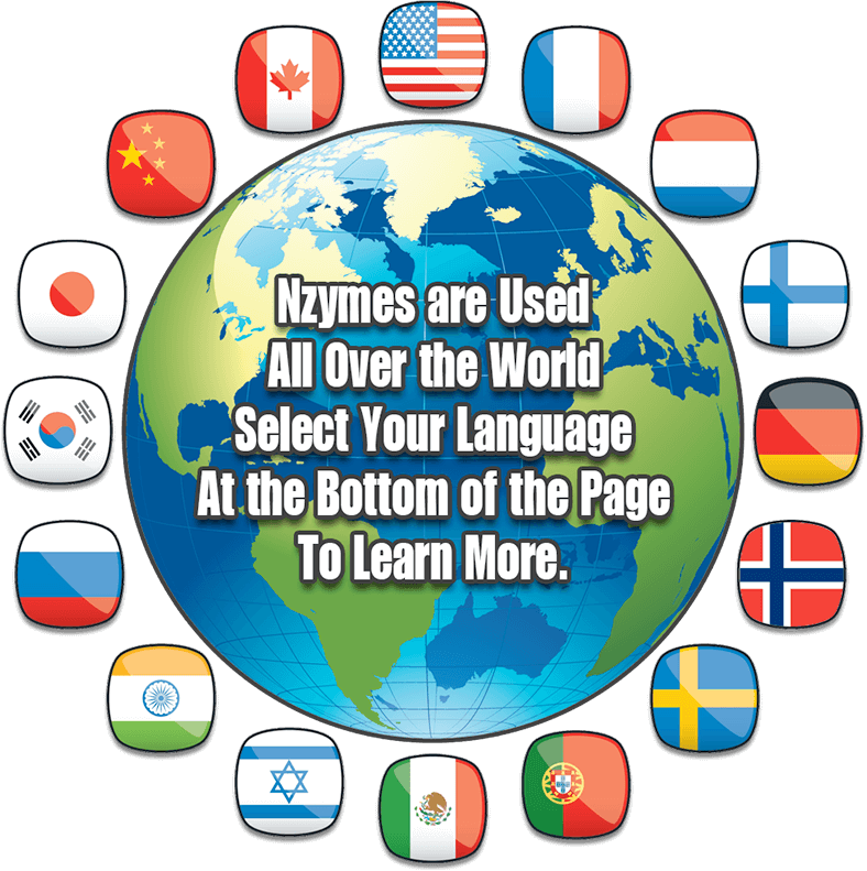 Nzymes goes Global