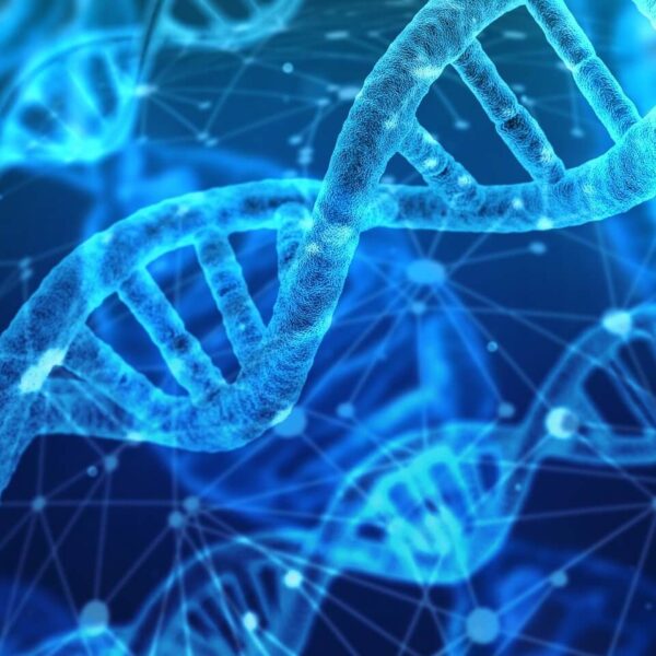 Trace Minerals and their effect on our DNA