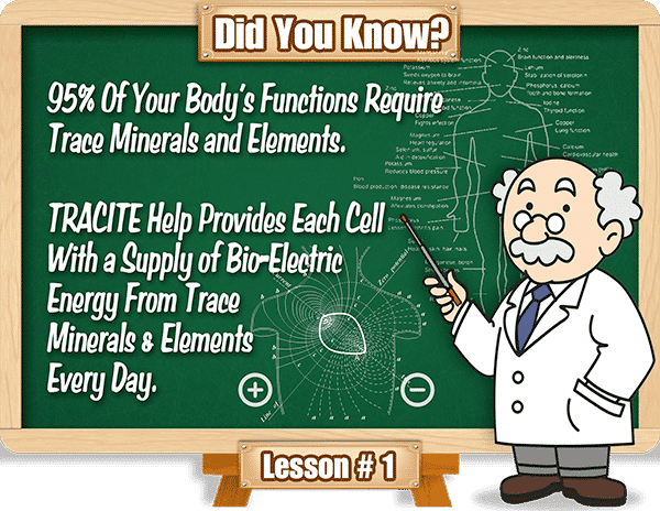 Some Facts About Nzymes Tracite Minerals!