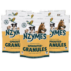 Nzymes Granules 6-pak