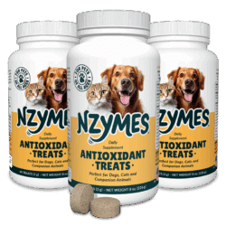 Nzymes Treats 3-Pak