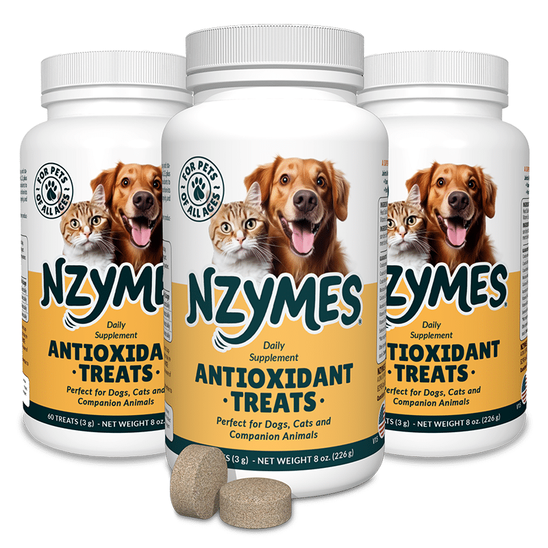 Nzymes Treats 3-Pak