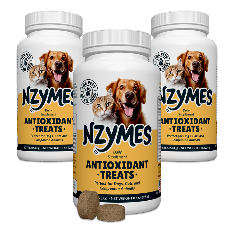 Nzymes Treats 3-Pak kit