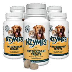 Nzymes Treats 6-pak