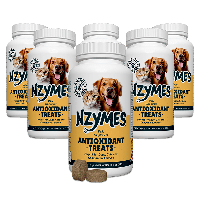 Nzymes Treats 6-Pak