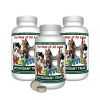 Antioxidant Treats 3-pak kit