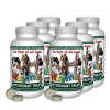 Antioxidant Treats 6-pak Kit