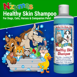 Nzymes Healthy Skin Shampoo for Pets of All Ages!