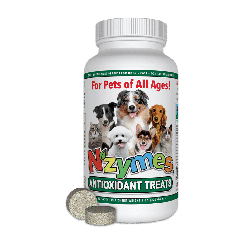 Antioxidant Treats for Pets