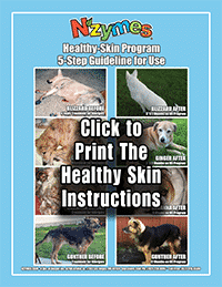 Healthy Skin Program Instruction Link