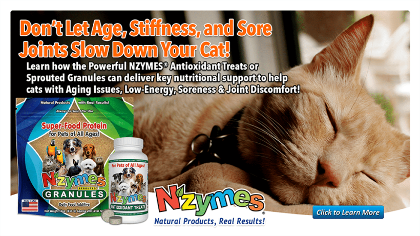 Help for cat aging & stiffness