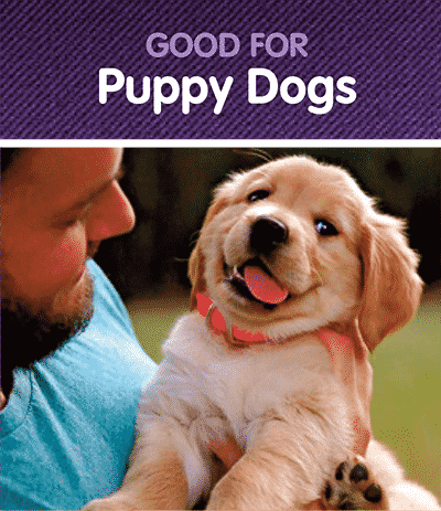 puppy-dog-title-image Nzymes for Puppy Dogs