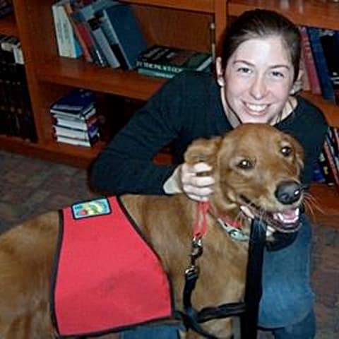 Golden Retriever with Hip Dysplasia