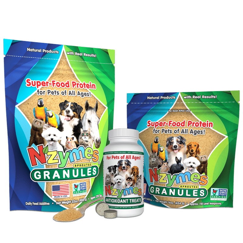 Nzymes Antioxidant Pet products