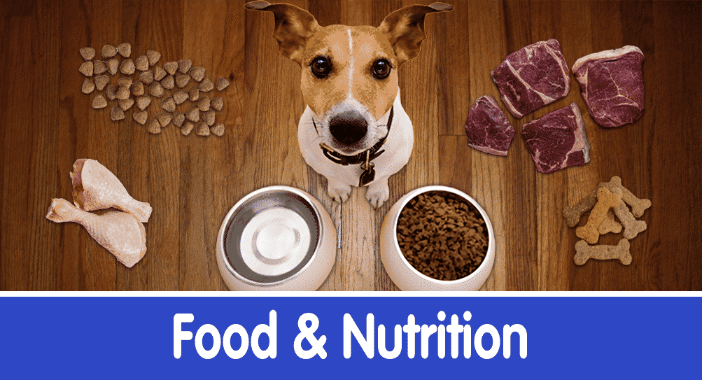 Pet Foods Recommended by Nzymes