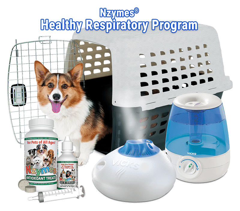 Healthy Respiratory Program