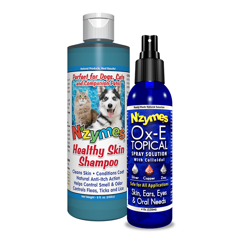 Suds n Spray Kit