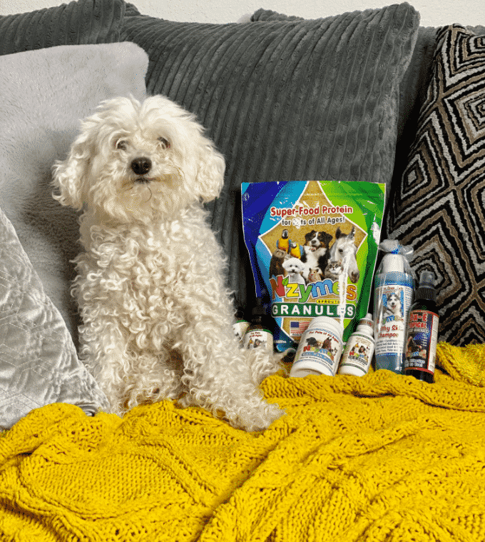 1-Pup_LV yeasty pup