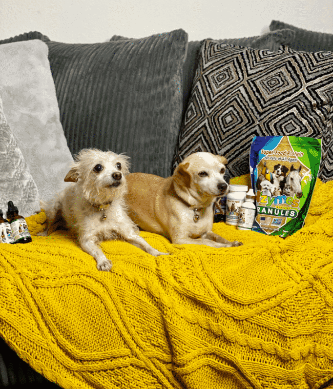 2_pups_LV paralyzed pups
