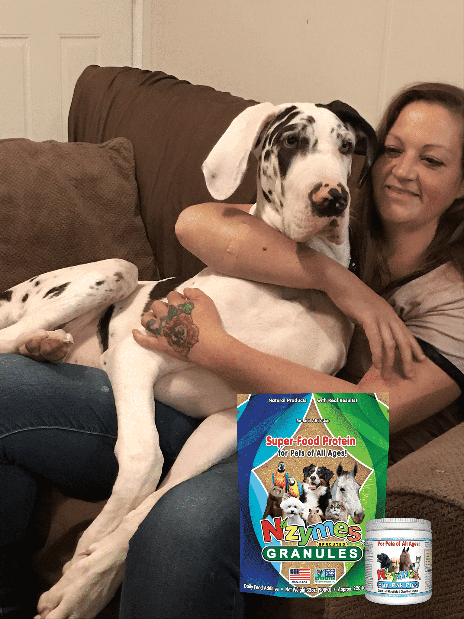 Great Dane Health