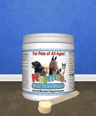 b4-with-scoop Nzymes® BacPak Plus - Probiotic / Digestive Enzymes Blend for Horses of All Ages.