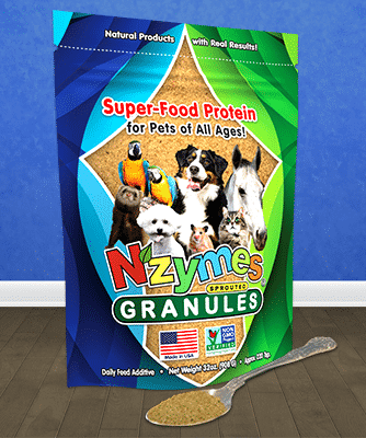 gp-with-spoon Nzymes Super-Food Granules for Horses of All Ages