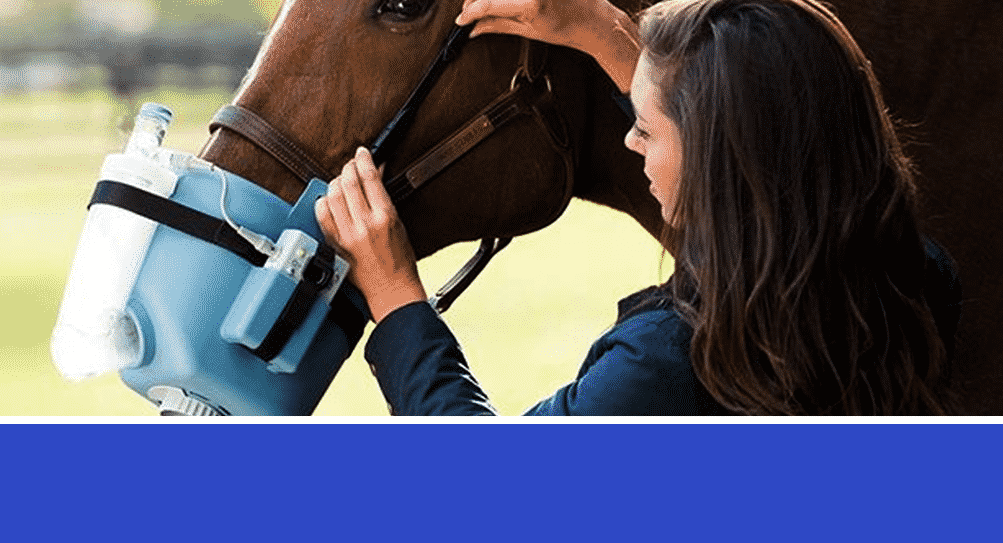 Equine respiratory Health Issues