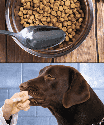 teaspoon-water-into-pet-food give ox-E-drops with food or syringe