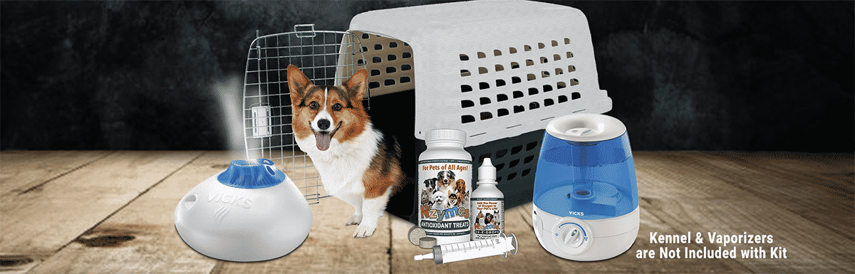 header-respiratory-support-program Respiratory Support Program