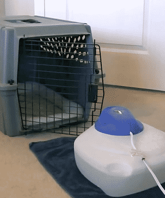 Using A Vaporizer with Pet kennel