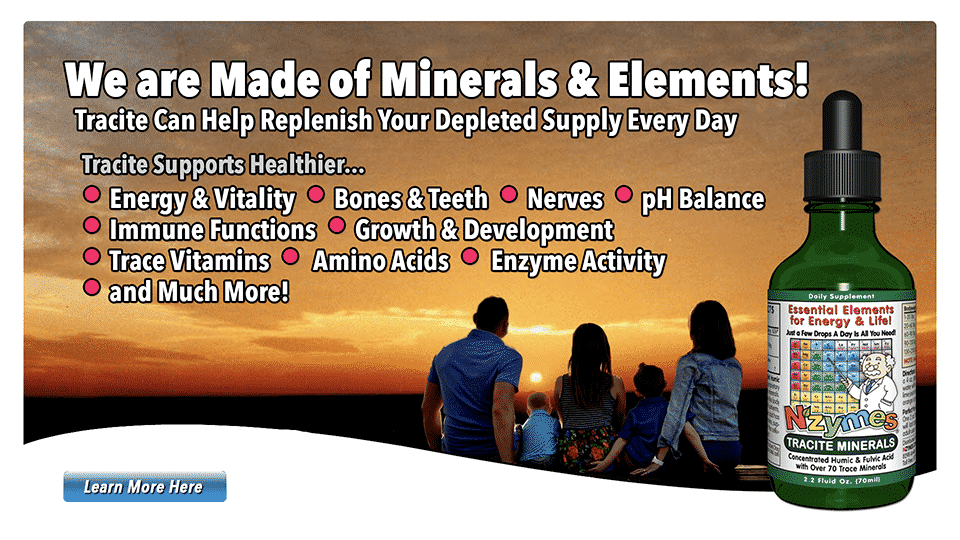 We Are All Made of Minerals!