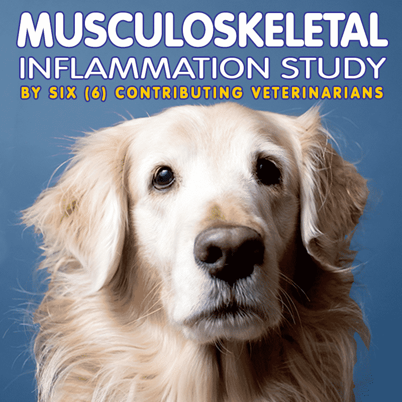 Musculo Skeletal Inflammation Study by 6 Veterinarians