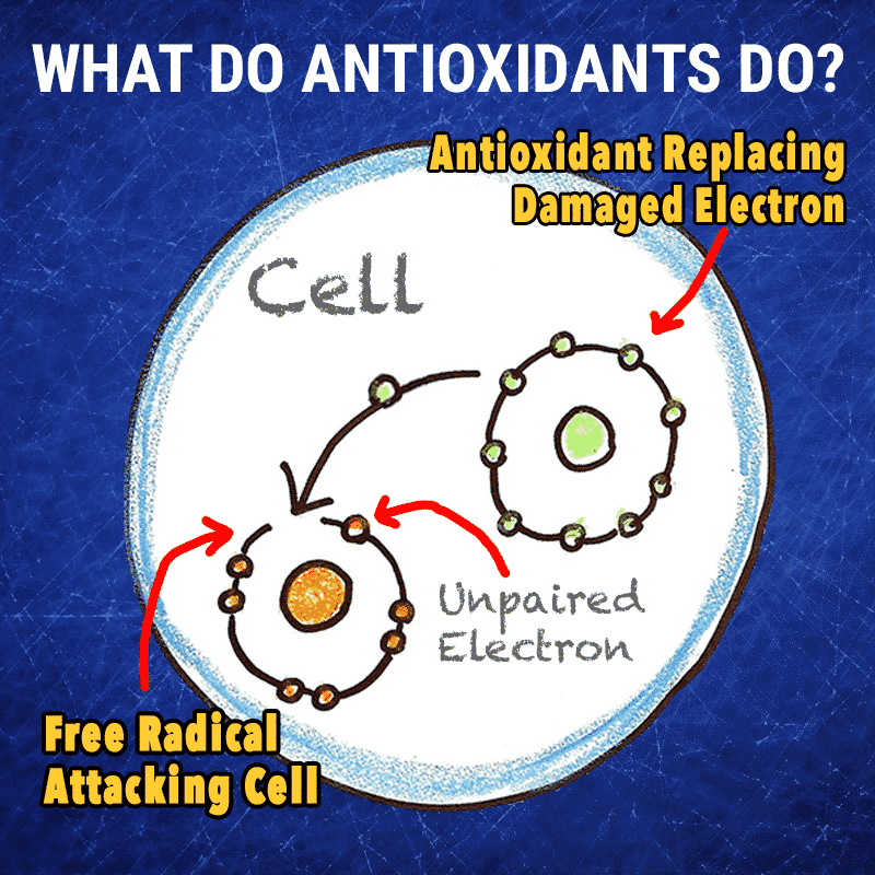 antioxidant-free-radical-graphic Antioxidants Battle Free Radicals