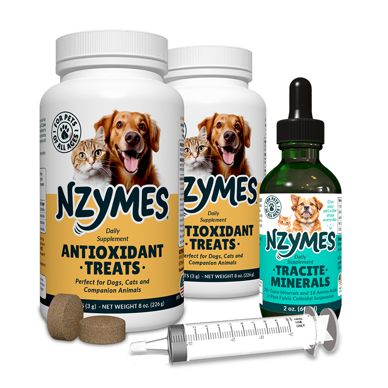 Support Kit for Seizures in Dogs