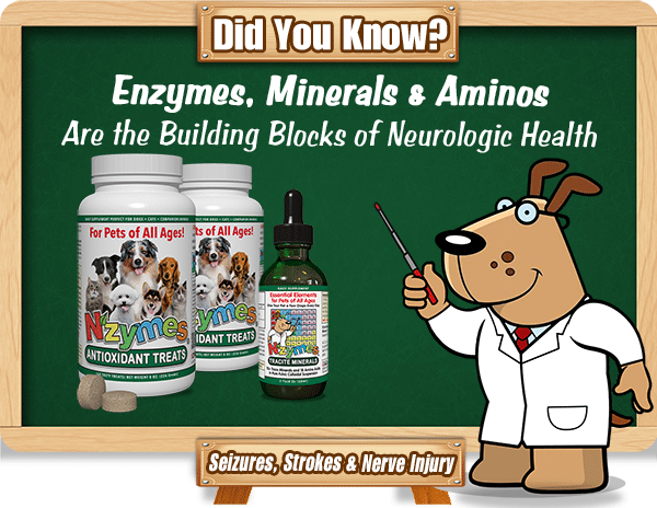 Nzymes Neurologic Kit for Pets of All Ages