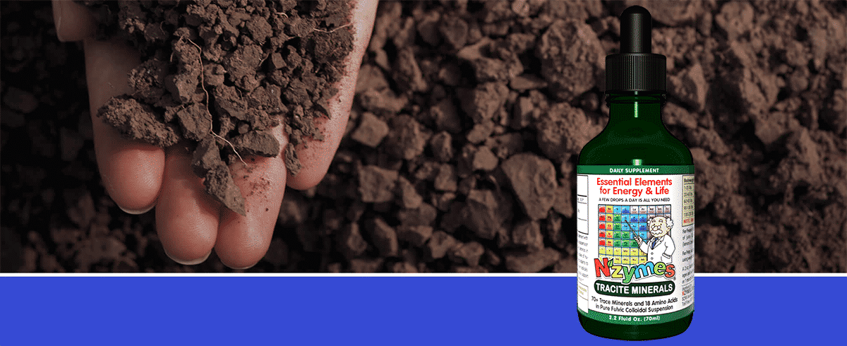 Nzymes Tracite Mineral for People of All Ages