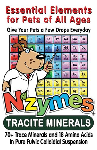 Tracite Minerals Dog Professor