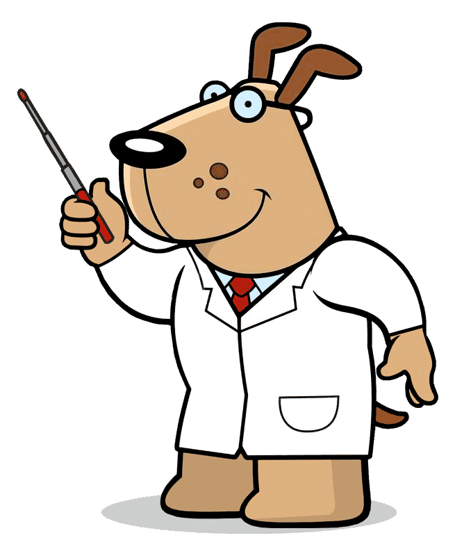 Dog Doctor Tracite