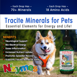 Benefits of Tracite Minerals