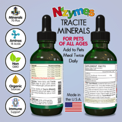 Nzymes Tracite Mineral Benefits for Pets of All Ages
